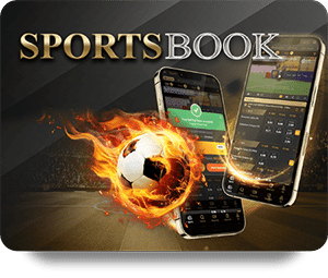 Exploring the Features of SBOTOP Slot Baccarat Gameplay